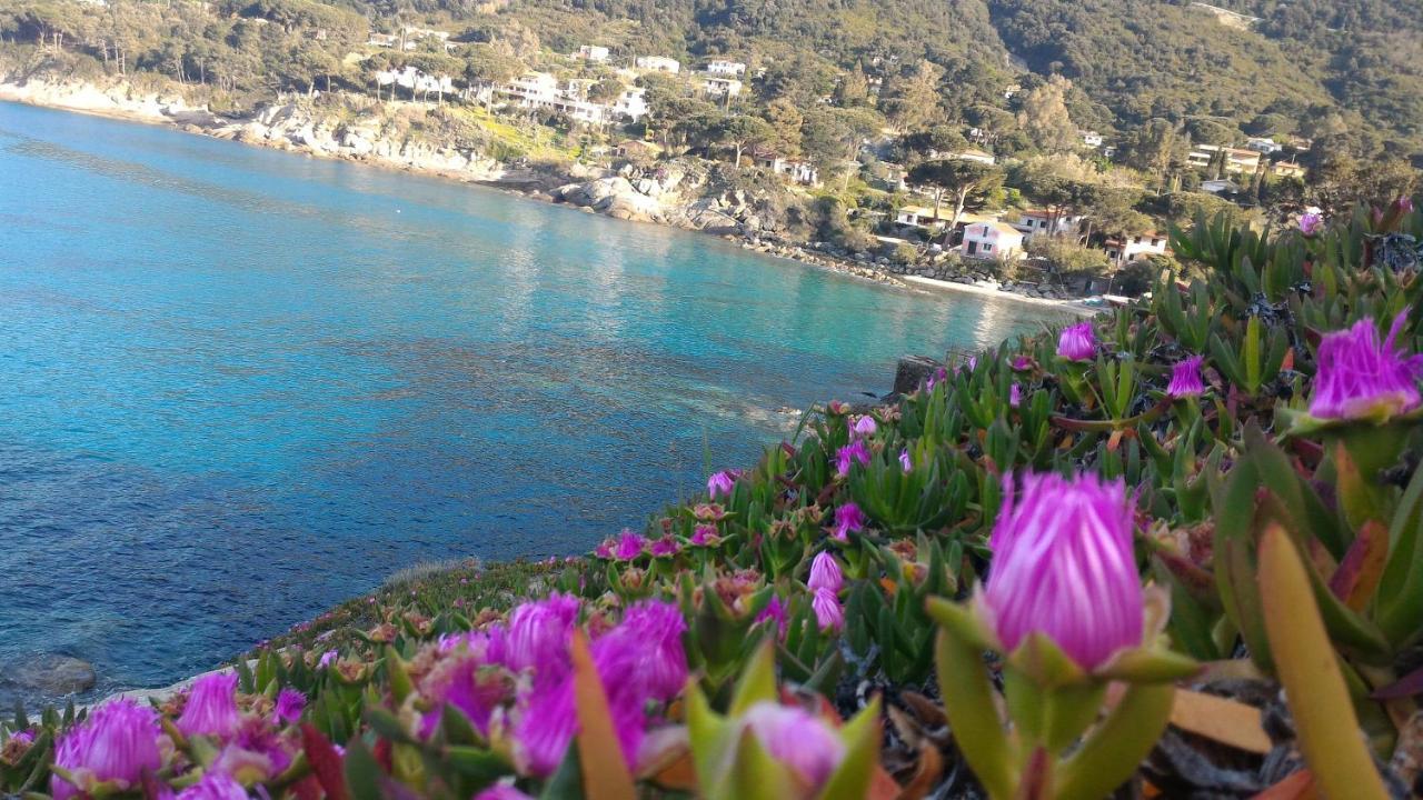 Villa Dei Limoni SantʼAndrea 外观 照片