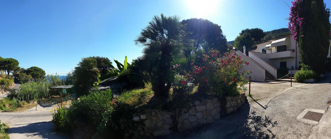 Villa Dei Limoni SantʼAndrea 外观 照片